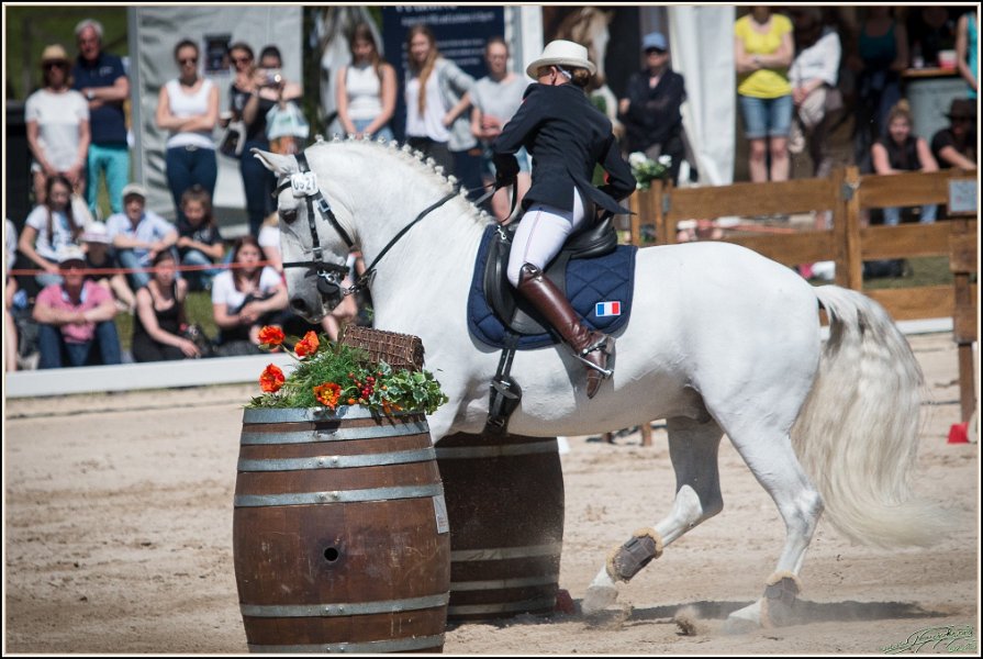 Pferd International 169